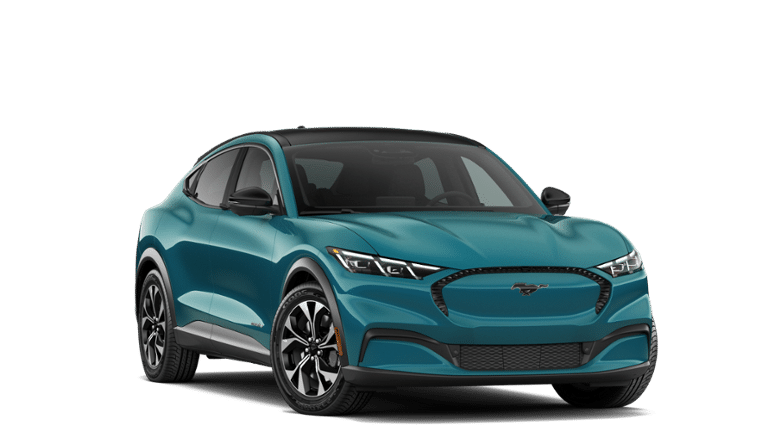 Mustang Mach-E® vehicle